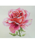Obrázok pre Sada Ružová ruža 150002