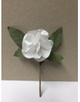 Obrázok pre Svadobné pierko kvet s lístkami