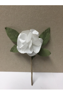 Obrázok pre Svadobné pierko kvet s lístkami