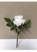 Obrázok pre Svadobné pierko ruža
