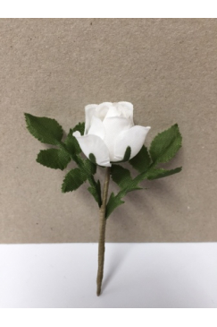 Obrázok pre Svadobné pierko ruža