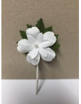 Obrázok pre Svadobné pierko kvet 