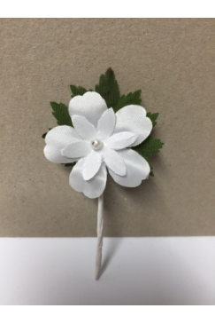 Obrázok pre Svadobné pierko kvet 